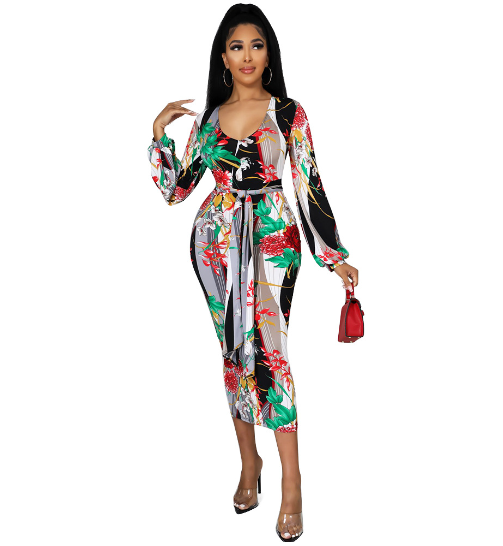 Long Sleeve Printed Dress for Women